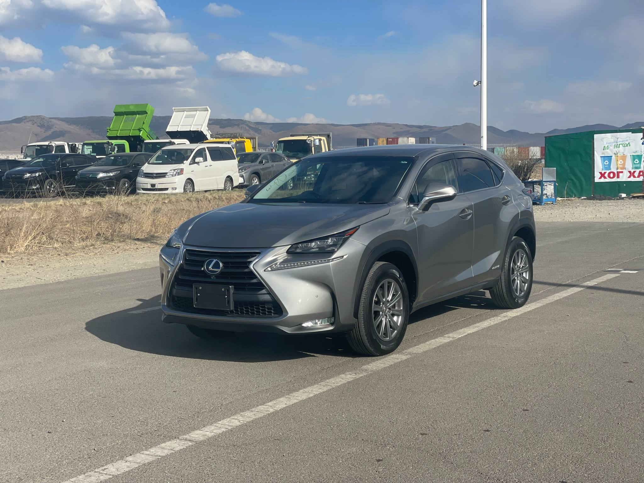 2014 LEXUS NX300h