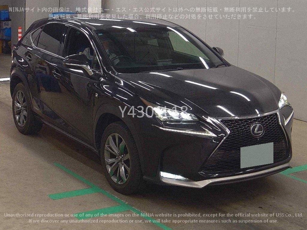 2014 LEXUS NX300h