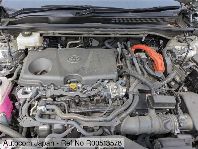 Uploaded image 6